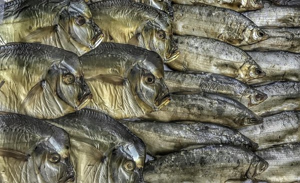 Impact du syndrome de fatigue chronique sur la qualité de vie : Une exploration approfondie